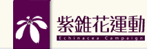 反毒紫錐花
